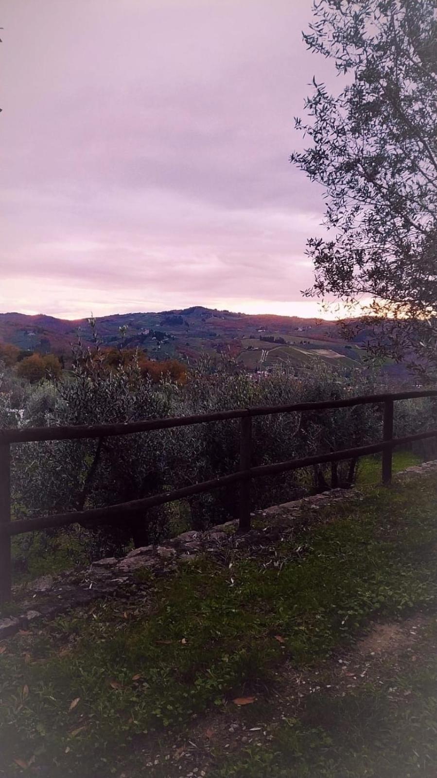 Agriturismo La Camporena Греве-ин-Кьянти Экстерьер фото