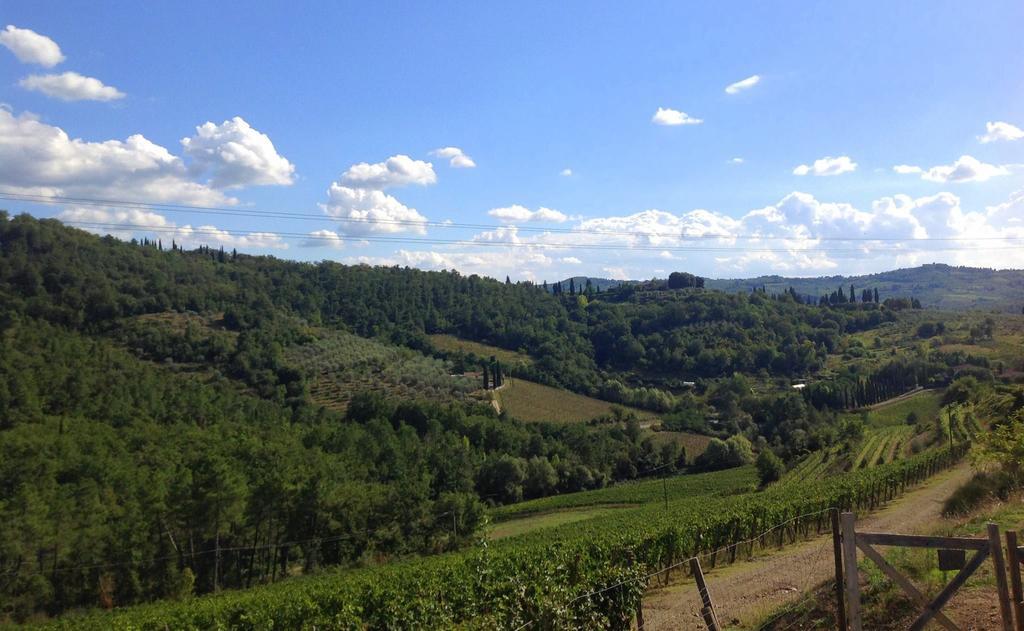 Agriturismo La Camporena Греве-ин-Кьянти Экстерьер фото